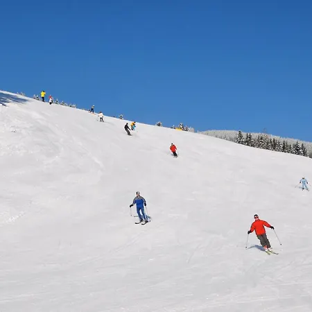 Διαμέρισμα Sunseitn Gosau